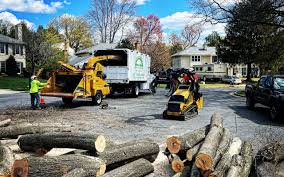 Best Hedge Trimming  in Collegeville, PA