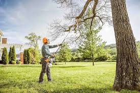 Best Hazardous Tree Removal  in Collegeville, PA