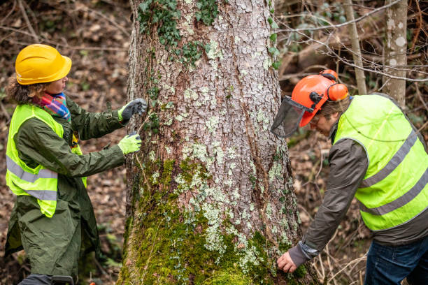 Best Utility Line Clearance  in Collegeville, PA